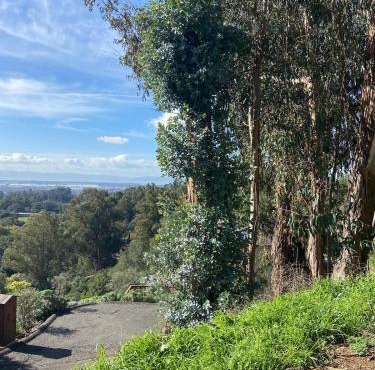 Private Oakland Hills Guest Apartment