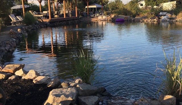 Private Oasis! Country quiet and City close