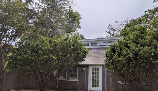 Private Ocean Beach Access- House on Private Road in Amagansett