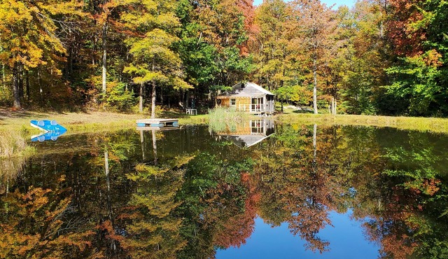 Private off-grid rustic cabin, pet friendly, fishing