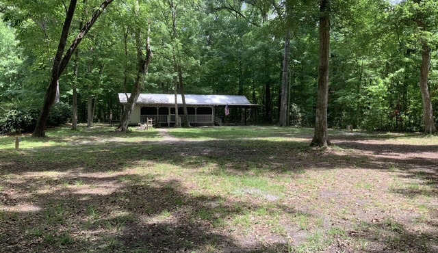 Private one acre wooded lot close to Ichetucknee Springs State Park