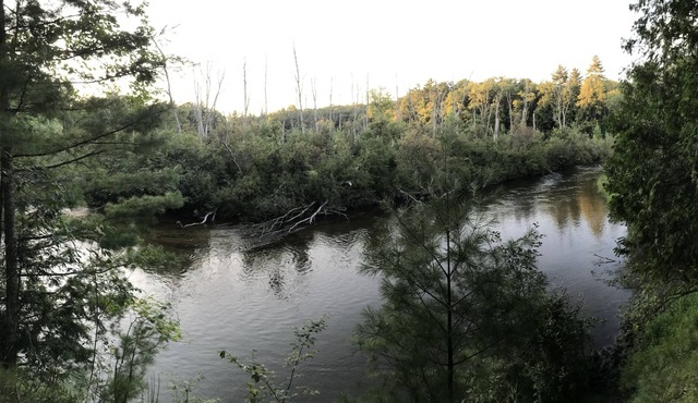 Private peaceful Copper top cabin on the world renowned Pere Marquette River!