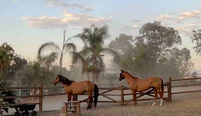 Private Petting Zoo - Glamping Ranch Vibes