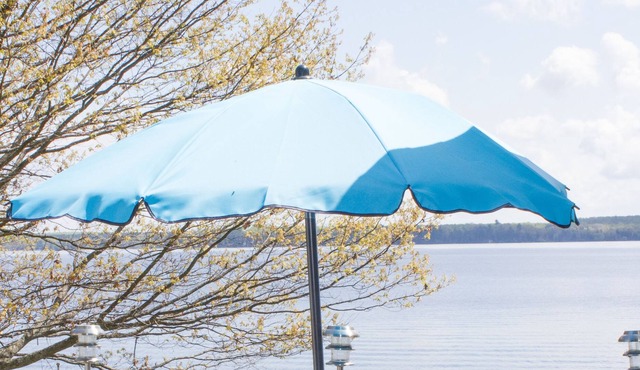 Private Pine Lake Sanctuary! Perfect Vacation Spot!