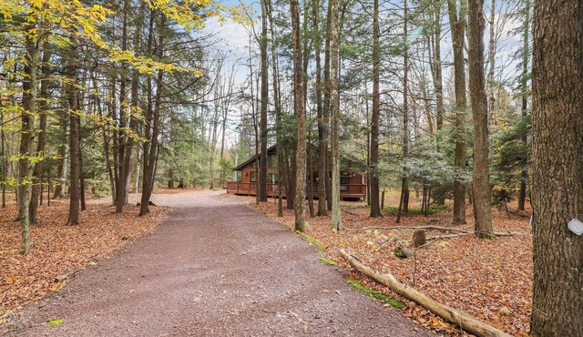 Private Pocono Chalet on cul-de-sac with Fireplace, Firepit, Lake Access, Deck