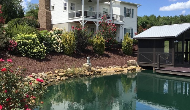 Private Pond! Drink in the Beauty! Hiraeth Hill Cottage. Asheville rental!