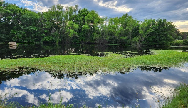 Private Pond Front True Ranch - Vacation Home in 10 acres- Plenty of parking