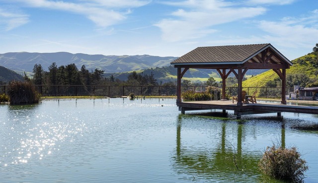 Private pond & views of rolling green hills