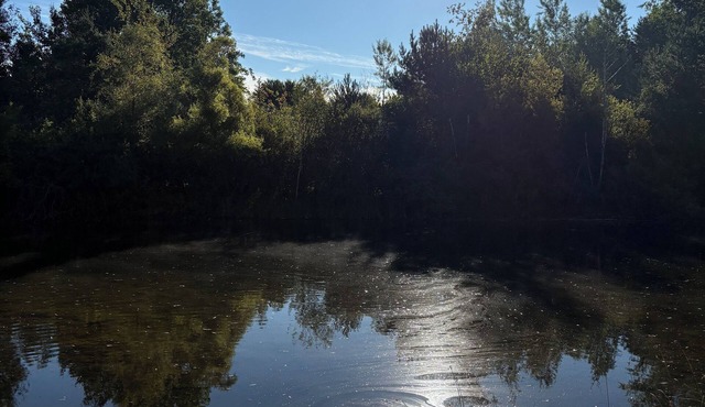 Private pond where memories are made!