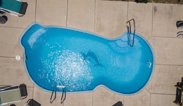 Private Pool🏊‍♂️ Hot Tub⛱ Walk or Bike to Beach🌊Soundview, Privacy Fence