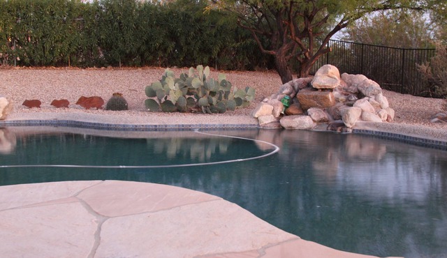 Private Pool & Hot Tub! Pet Friendly! Come relax in our private back yard.