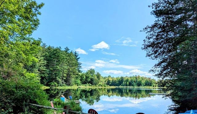 🌲 Private, Quiet, Rustic Lakeside Cabin, close by to Old Forge! 🌲
