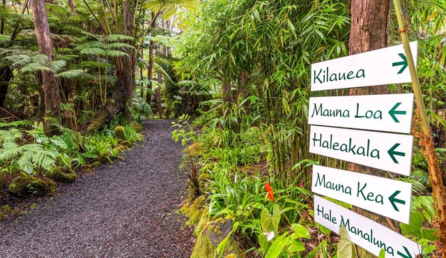 Private Rainforest Retreat in Volcano Village