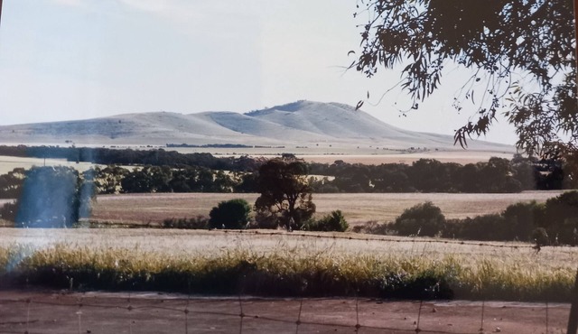 PRIVATE, REMOTE, SECLUDED COUNTRY HOMESTEAD PETS WELCOME! - BOOLEROO CENTRE
