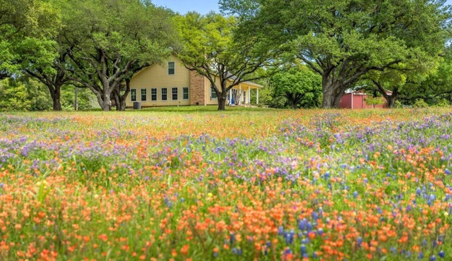 Private Retreat on 50 Acres of Countryside Bliss!