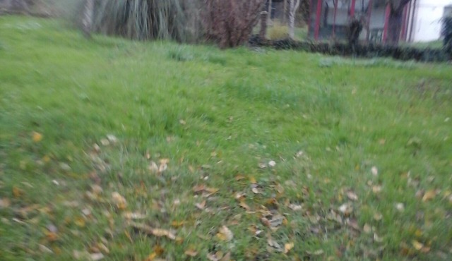 Private room in a house with garden in Vierzon