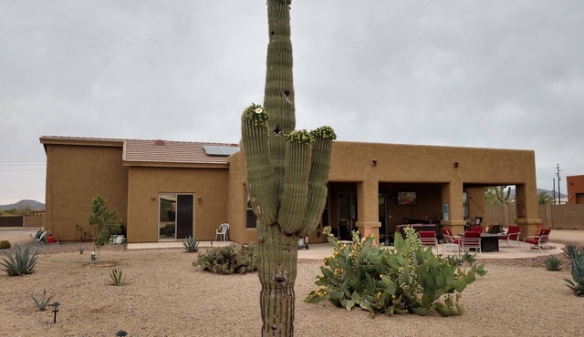 Private Room in Beautiful Desert Hills Az