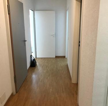 Private room in new apartment Daniel-Ihly