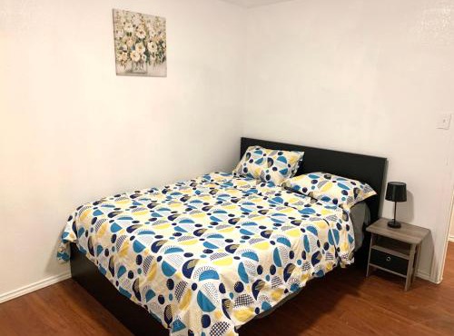 Private room near downtown 30