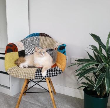 Private room with large bathroom near Heathrow & Windsor