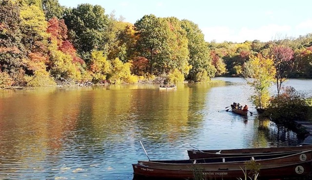 Private Rooms near Riverdale.