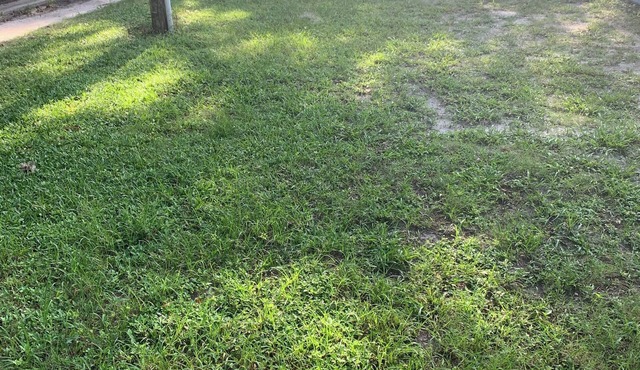 Private RV LOT available in enchanting Zephyrhills with WiFi access