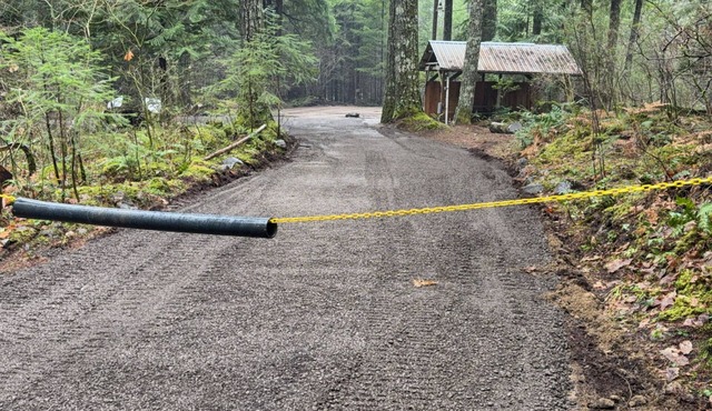 Private RV parking at the base of Mt. Rainier. Have the forest to yourself!
