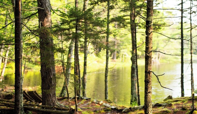 Private Sauna+3 Min.to Beach+Outdoor Shower+FirePit+Pond+Fast Wifi