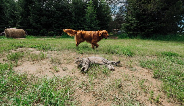 Private, second story apartment situated in a beautiful barndominium