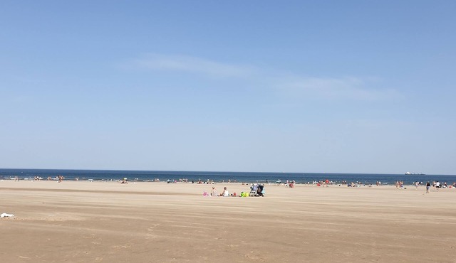 Private single room with dedicated workspace in friendly house