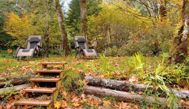 Private- Sol Duc Riverside- 2 king 2 bath- adjacent to NFS trails- great locale