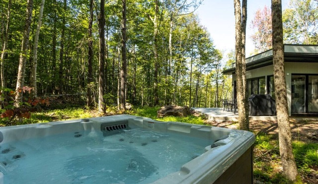 Private Spa | Hiking | Skiing | Mini - Prime Hill