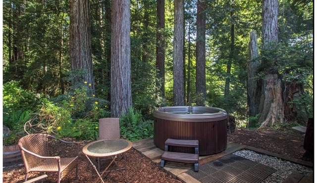 Private & Spacious *Hot Tub* In the Redwoods