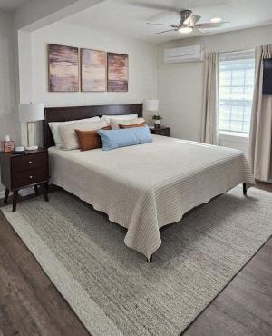 Private Studio Apartment with One King Bed and One Sofa Bed