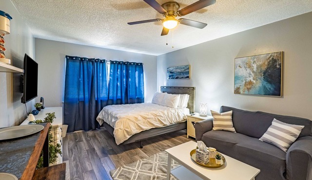 Private Studio in Carmichael w/Netflix, Disney+