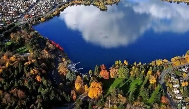 Private studio near Green Lake/Lightrail/I-5n