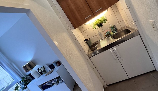 Private Stylish Studio City Centre Paquis