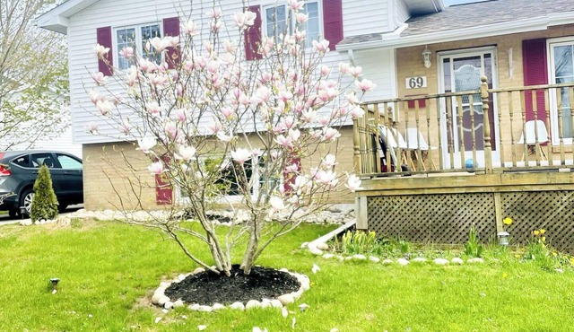 private suite (the skylight)