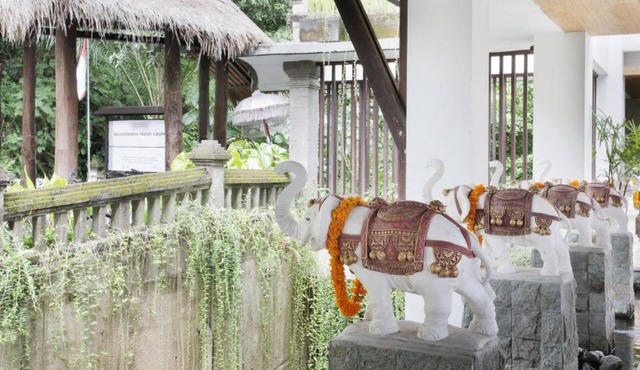 Private suite in Ubud, sleeps 2 people, surrounded by lush green surroundings