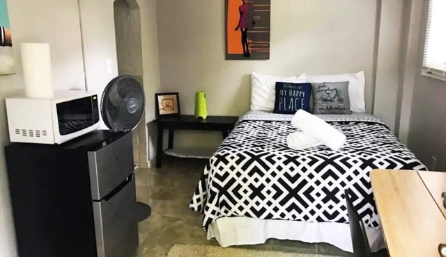 Private Suite Sleeps 2 Near Emory