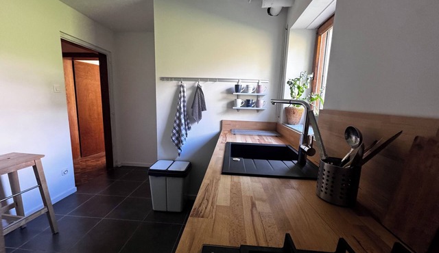 Private suite with sauna and garden