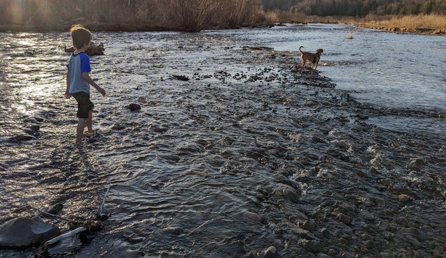 Private tent camping along the Salmon River on 165-acre Farm.