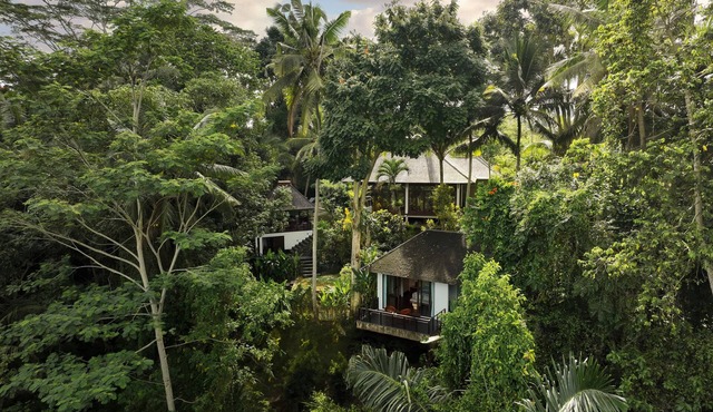 Private three bedroom villa with forest view in Ubud