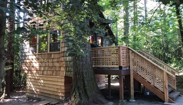 Private tiny forest cabin near Portland and local wineries.