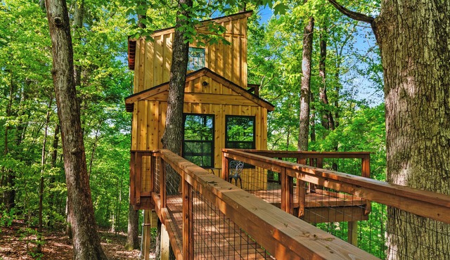 Private Treehouse getaway on Lake Barkley. Luxury in the trees!