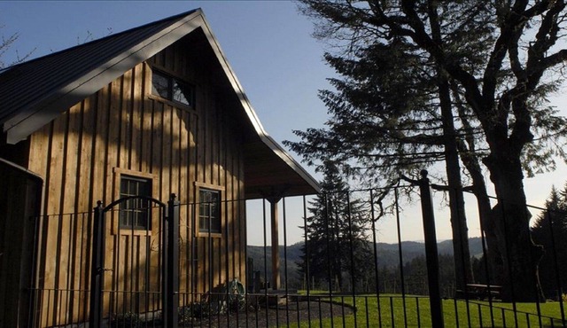 Private Vineyard Cabin in the Heart of Wine Country