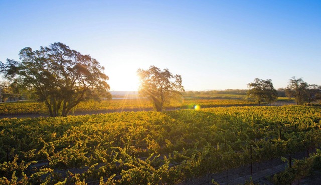 Private Vineyard Residence - 10 minutes from Healdsburgn