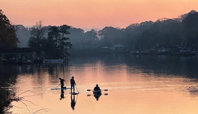 Private water-front retreat, paddleboards, kayak, dock, pet-friendly!