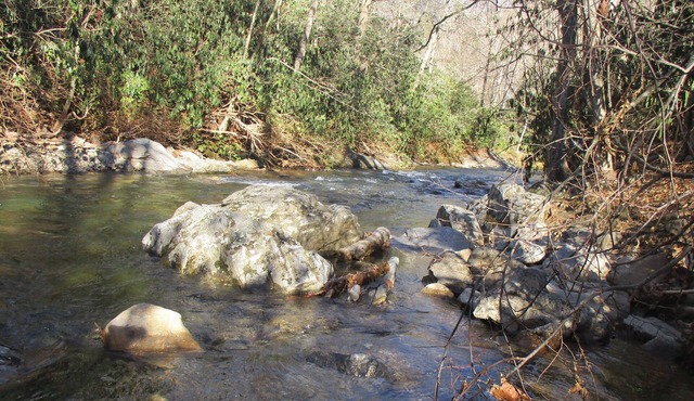 Private Waterfall on Cold Mountain with Fishing on property