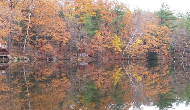 Private Waterfront Access Home with Dock, Swimming, Kayaks ,Sleeps 6